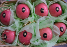 Xin Ye Yuan's most popular apple brand measured by volume.