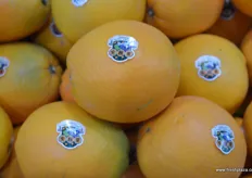 The Agricultural Revolution from Beijing is bringing new brands to the market. This is the company's orange variety and brand.