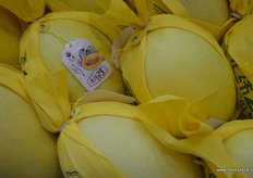 Hami melon by Jiu Tai.