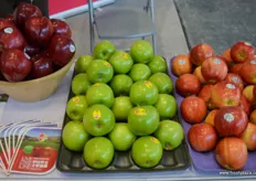 Washington apple varieties.