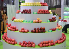 A mountain of apples.