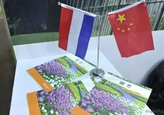 Twinning between China and the Netherlands