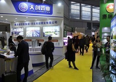 A corridor at the fair