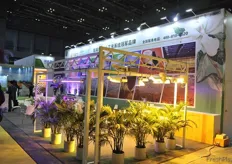 Lighting equipment for plant growth