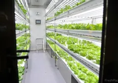 Hydroponic cultivation unit