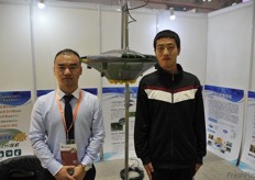 System for the mass trapping of insects