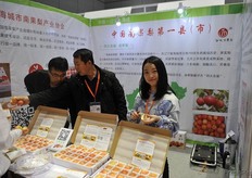 Small decorated apples