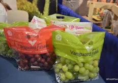 Grapes from Peru, labeled under the Vanguard Fresh brand.