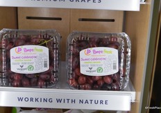 Also grown on Vanguard's Challampampa ranch in Peru, but labeled as Pampa Fresh.