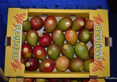 Bernie's box: a newly designed mango box from Amazon Produce Network. It holds three times as many mangos as the traditional mango boxes do.