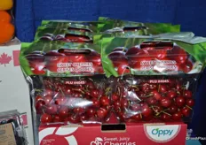 Sweet cherries from Chile, marketed by Oppy