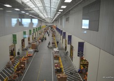 Bird's eye view of the Philadelphia Wholesale Produce Market. According to John Vena this is the best view of the city of Philadelphia.