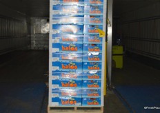 Halo mandarins. The season was kicked off in November.