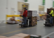 Pallets of produce are flying through the market.