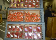 Selection of tomatoes and strawberries from Ryeco, LLC.