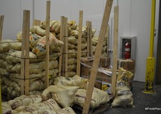 Bags with coconuts from the Dominican Republic