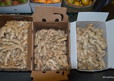 Different ginger options