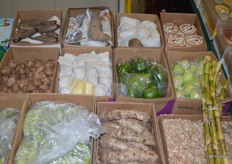 Overview of the tropical roots category