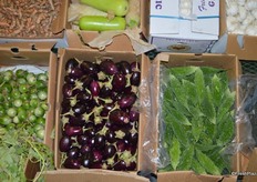 From left to right: Thai eggplant, Indian eggplant and Indian okra.