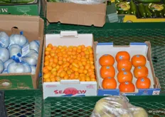 Kumquats just arrived and are in high demand