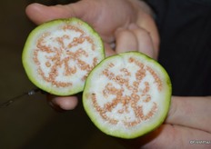 The inside of Thai eggplant. It's very seeded and has a bitter taste.