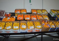 A large selection of citrus. The variety, name of the shipper and the country of origin are all mentioned on the label. This time of the year, the US is a popular citrus source.