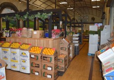 Beautiful store of Procacci Brothers