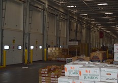 Produce waiting to be picked up.