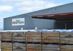 Reid Fruit's packhouse in the Huon Valley