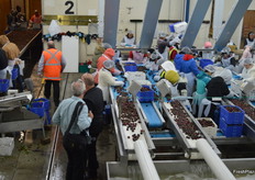 90% of the fruit packed is from Ried's own orchards.