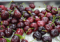 Reid don't use any artificial means of hardening.