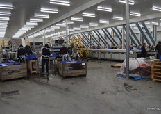 Harvest will finish up this week.