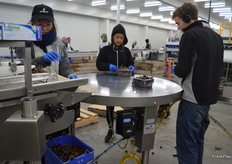 Trays are heat seald with perforated tops.