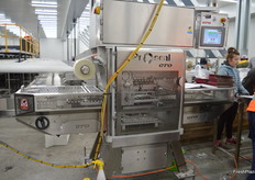 The perforations stop them inflating while in the air.