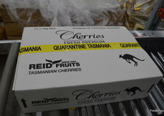 Carton ready to be air freighted to China.