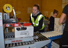 Boxes are checked and sealed after a quarantine check.