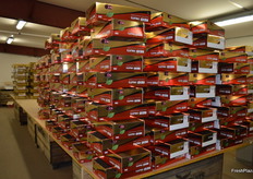 Each box also has a watermark on the base.