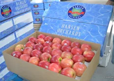 Apples remain an important part of Hansen Orchards, they are supplied mainly to the retailers in Australia.