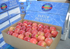 Apples remain an important part of Hansen Orchards, they are supplied mainly to the retailers in Australia.