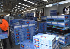 Apples packed and ready to ship.