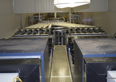 The cherries are checked by cameras for defects.