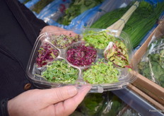A multi-pack of micro greens from Alion.