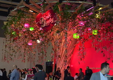 An amazing stand from Pink Lady.