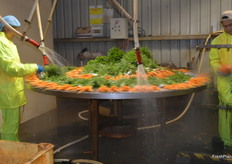 Carrots get cleaned again.