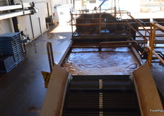 30 tonnes an hour can be processed, the water is refreshed every few minutes.