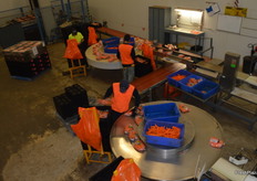 The bags are transferred to the crate by hand.
