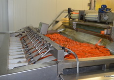 Carrots are sorted by size.