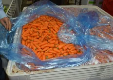 First crop of Chantenay carrots!