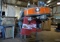 Onions are proudly bagged as Tasmanian product.