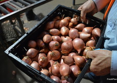 Really nice, clean product.